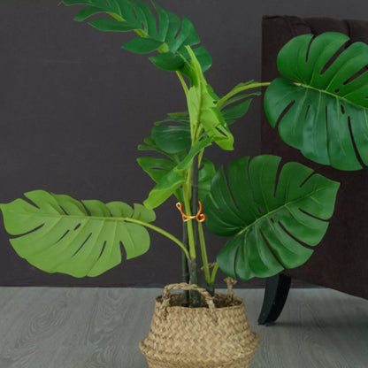 Clip De Plante En Forme De Chat - Mignon Support De Plante Pour Le Jardin Et Les Plantes D' Intérieur