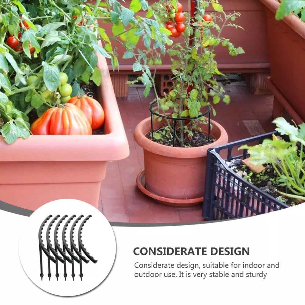 Support Grimpant pour Plantes - Support Robuste avec Design en Cage pour la Croissance et la Stabilité