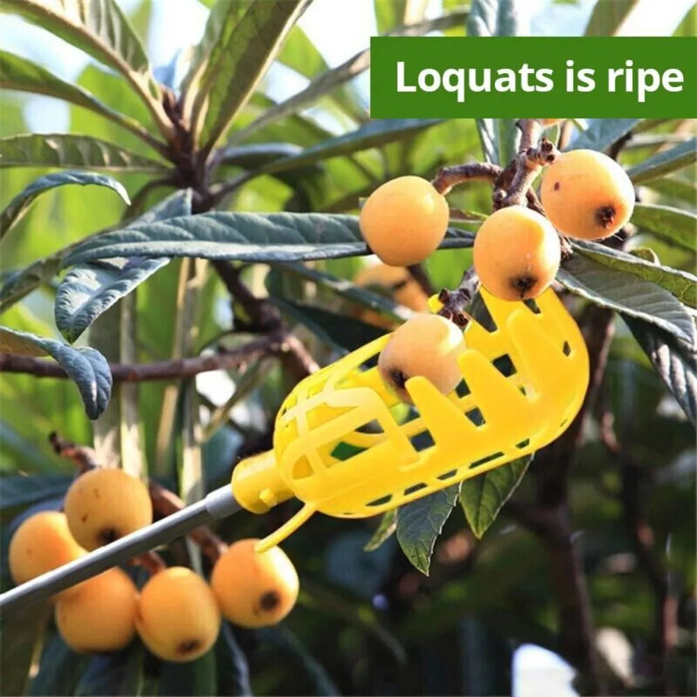 Aide à la Récolte des Fruits - Outil Pratique de Préhension des Fruits pour les Arbres et les Arbustes