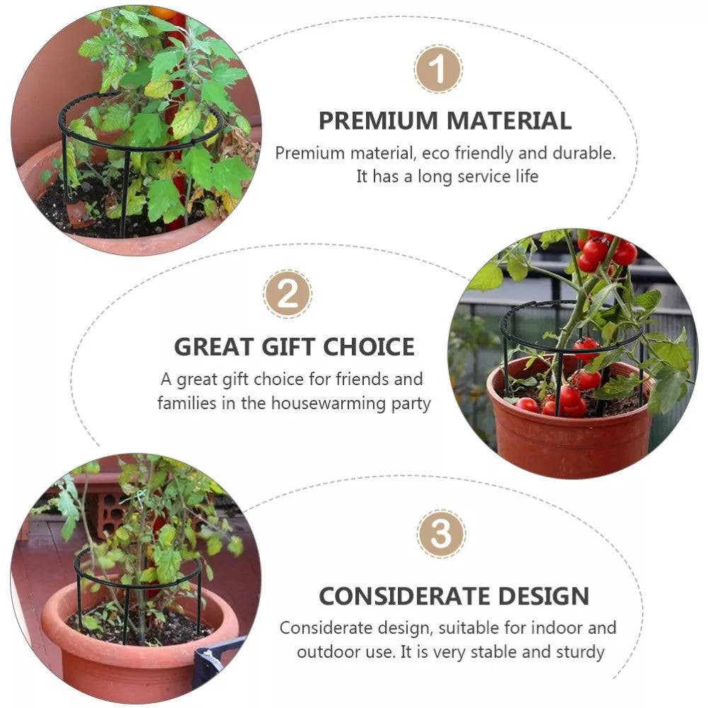 Support Grimpant pour Plantes - Support Robuste avec Design en Cage pour la Croissance et la Stabilité