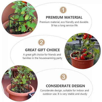 Support Grimpant pour Plantes - Support Robuste avec Design en Cage pour la Croissance et la Stabilité
