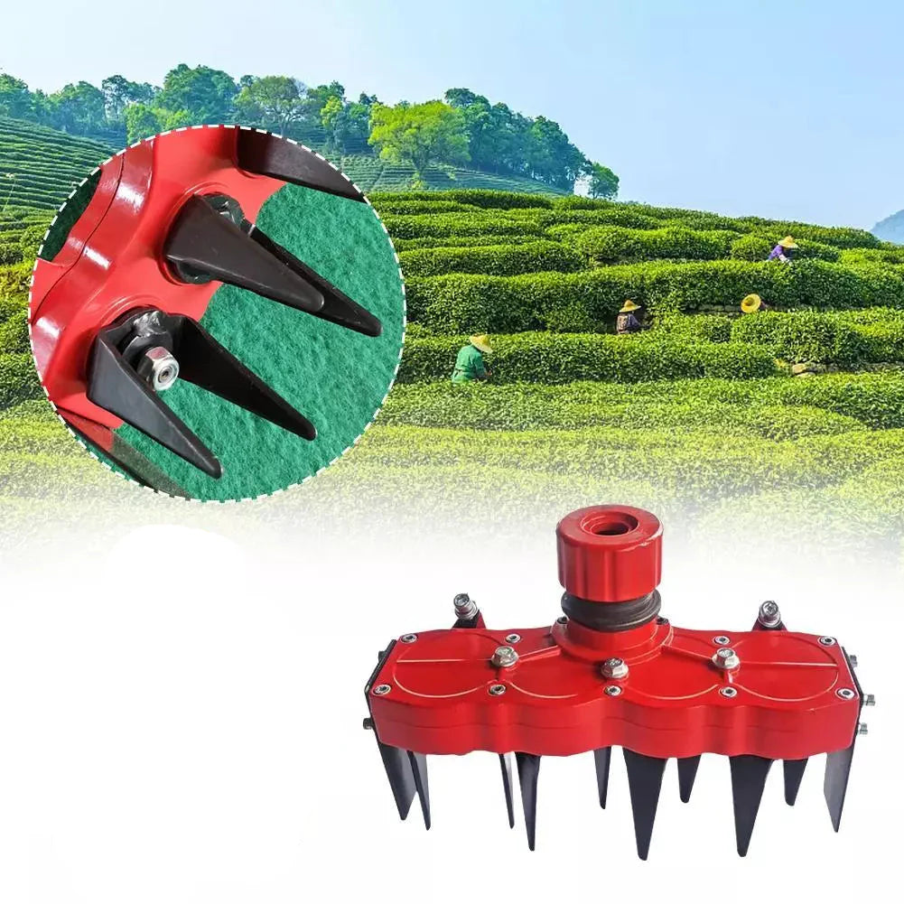 Tête De Désherbage - Outil Efficace Pour L' Entretien De La Pelouse Pour Enlever Les Mauvaises Herbes