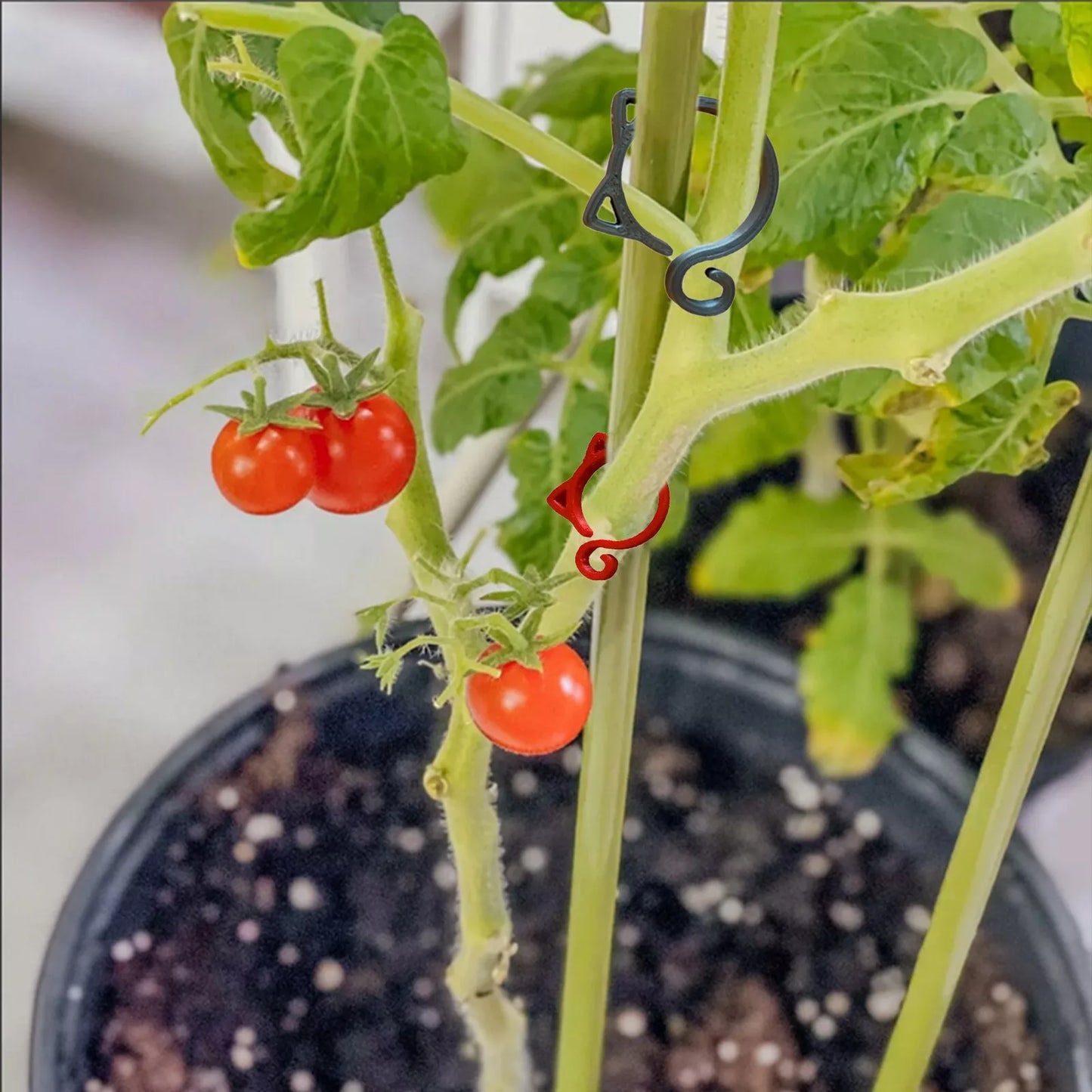 Clip De Plante En Forme De Chat - Mignon Support De Plante Pour Le Jardin Et Les Plantes D' Intérieur